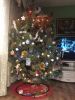 IMG_5104.jpeg