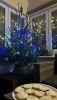 IMG_6037.thumb.jpeg.683a07dd5f59dd1c68bae69727c4e4de.jpeg
