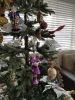 IMG_6318.thumb.jpeg.51b7d01b43e3d34c310c2cb95343c9af.jpeg