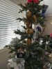 IMG_6319.thumb.jpeg.05c9d03131735da5e073289d782f0c6c.jpeg