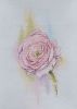IMG_7569.jpeg