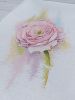 IMG_7572.jpeg