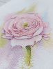 IMG_7575.jpeg