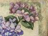 IMG_7716.jpeg