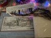 IMG_8049.thumb.jpeg.de94042cc46851a501f93f8ff4552b3d.jpeg?1767292962238