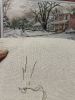 IMG_8052.thumb.jpeg.26756948d26ca3f5c0fbe4df452eed4e.jpeg