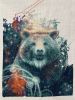 IMG_8796.jpeg