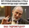h-200599.thumb.jpg.81cf7dabe1bd0f8b7e8c309bd83df322.jpg