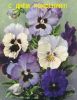 h20OSkMyI7hGdqIt4NvO80CNe72j95xsvAmmNkLsiswIQriZLN5Bi2KuS2YLaQWTcd-7m9EV-xl2i8Pvv5CnHTxv.thumb.jpg.b0851c2f10332ae22aaf3d9d8a7cd626.jpg