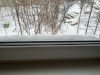 photo_2026-01-28_21-59-44.thumb.jpg.22ef1d5a653f919a3b97ebd371c3023e.jpg