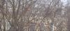 152662985_79.thumb.jpg.04112c69abc7d00846f7a7b609fdb625.jpg