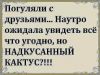 1588032844_11.thumb.jpg.3197ec2b5eececd1a60a61ae2fcd3d6c.jpg