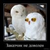 1600226583_033.thumb.jpg.a9845faf021986dfabcb02cc5cddddc7.jpg