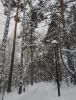 1768832366936.thumb.jpg.e1c6aff0eabdf817e9ed277ee362478d.jpg