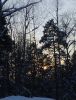 1768832367109.thumb.jpg.32dabf93dfd2971d4cf071553dea05e4.jpg