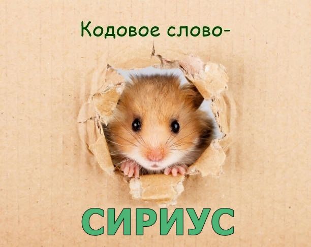 1909151636_.jpeg.1204d0b71e34f16131518c44cc385989.jpeg.66762e655fdc0a02f0b7394306d79aaf.jpeg