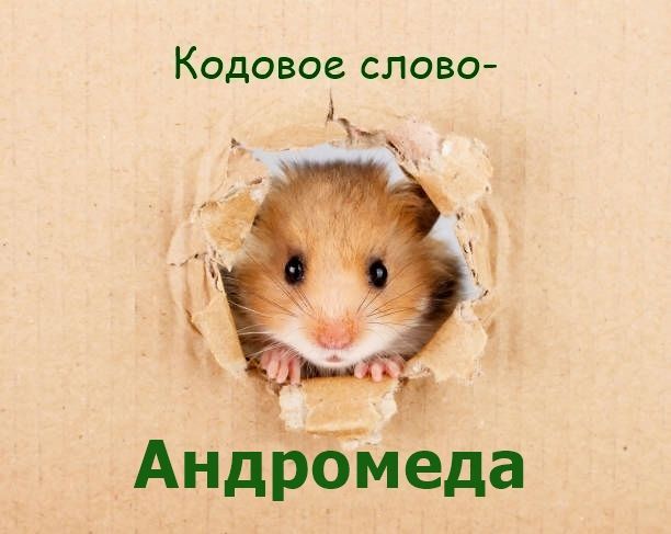 1909151636_.jpeg.1204d0b71e34f16131518c44cc385989.jpeg.8e6119f808283920524e49f50f8f1172.jpeg