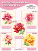 7 Серия Розочки 150-001, 2,3,4,5.png