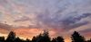 20250711_215925.thumb.jpg.88b66d58b2abec17f4e185a18c131f8c.jpg