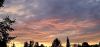 20250711_220237.thumb.jpg.aa57c74a2071d9f63edfc26b459c0cb1.jpg