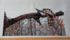 20260102_140555.thumb.jpg.a0e0624cebe2476bd4b156d0bcc9ef3a.jpg