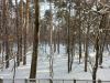 20260111_143314.thumb.jpg.328213cf0ea7e2432b8320eb9850bfd5.jpg