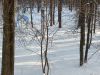 20260111_143321.thumb.jpg.c7ccf75151d94dd8dd0d08a895e249a6.jpg