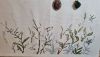 20260124_000332.thumb.jpg.abfb57b8867d174d60f3dc1b82df08df.jpg
