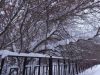 20260202_082926.thumb.jpg.d8e935c96c3cd5fc7aca4789aa8c92a3.jpg