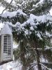 20260202_090253.thumb.jpg.75e36faea9114c0b4173b3e5ada6a1b1.jpg
