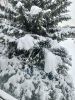 20260205_122103.thumb.jpg.8febb578fb531e8da8abc6422ff204b4.jpg