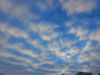 20260205_164842.thumb.jpg.5225bcd132124ff5ec6b1f466b5ad47a.jpg