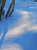 20260206_094833.thumb.jpg.25e3203ae7ad1b3a1eff9f52aed349b9.jpg