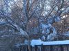 20260206_095021.thumb.jpg.62749b1e4b42971ae6191bc2f729623d.jpg