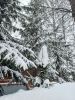 20260221_085324.thumb.jpg.093b34a44fb38c6d8276847b01a11c1e.jpg
