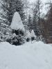 20260221_085338.thumb.jpg.d1ff1d77f8a5b17d710496a26a36b4d6.jpg