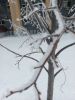 20260222_084615.thumb.jpg.ce3d7aa87addd0c63f643e427a873442.jpg