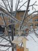 20260222_084640.thumb.jpg.21b437753c0cf4e19b1a2721273bf5f8.jpg