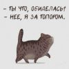 7.thumb.jpg.9d3c6de45271e919a1e7765b08cb5c48.jpg