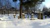 888591147_MG.thumb.jpg.f2a2e9bdcc573deae0df7f0364f54de2.jpg