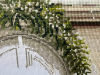 9.thumb.png.da6bf54002a6299106a001e07c05ca0a.png