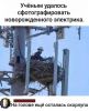 981414904_13.thumb.jpg.8b7a284a02de069637cb2e48d400a08b.jpg