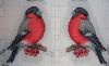 Bullfinch5.thumb.JPG.ed6e2c5ebcbafbb1ce7802f2eef3cf14.JPG