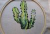DSCF2075.thumb.JPG.a398e9607fa0f5a5a163aed23de98ec2.JPG