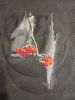 IMG20250920121501.thumb.jpg.486717858519cf40e5b20bbc38f68df5.jpg