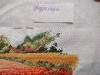IMG20260214092628.thumb.jpg.2d1574fa5a56fffdd5b0b4575312398a.jpg?1771067533250