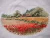 IMG20260221160831.thumb.jpg.dcf376fda8e0c6e646fe3a092bb0802f.jpg?1772186364085