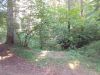 IMG_20230830_162138.thumb.jpg.78b24e3cdc9ab8e035b9cd832f024a2a.jpg