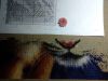 IMG_2026-02-10-23-11-44-818.thumb.jpg.c4f761d903309d59d3284ccc55b0694d.jpg