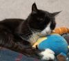 IMG_20260122_182324.thumb.jpg.ea544c2ae081120988ed837bfb93aade.jpg